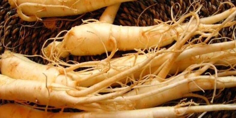 ginseng جڑ طاقت بڑھانے کے لئے